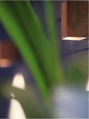 in-lite ACE DOWN in-lite ACE DOWN