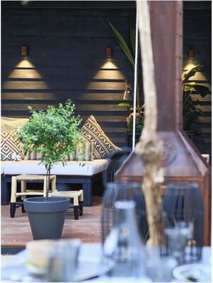 in-lite ACE DOWN in-lite ACE DOWN