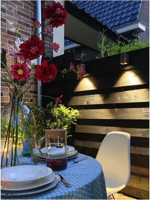 in-lite ACE DOWN in-lite ACE DOWN