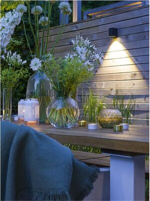 in-lite ACE DOWN in-lite ACE DOWN