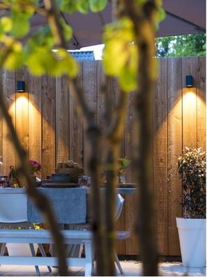 in-lite ACE DOWN in-lite ACE DOWN