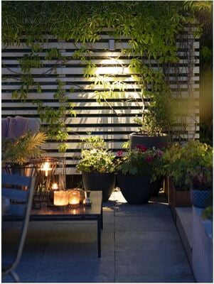 in-lite ACE DOWN in-lite ACE DOWN