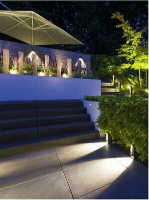 in-lite ACE in-lite ACE