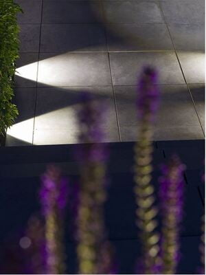 in-lite ACE in-lite ACE