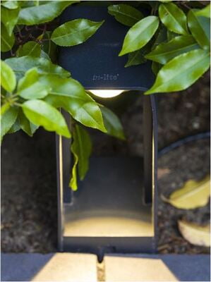 in-lite ACE in-lite ACE