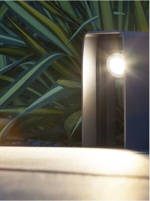 in-lite ACE in-lite ACE