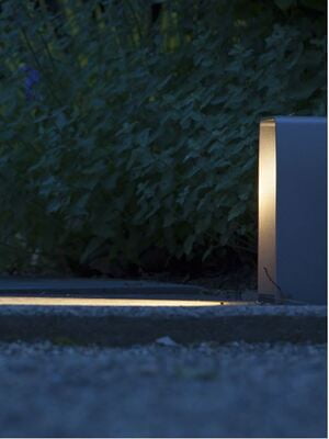 in-lite ACE in-lite ACE