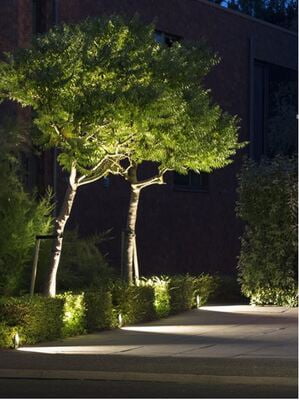 in-lite ACE in-lite ACE