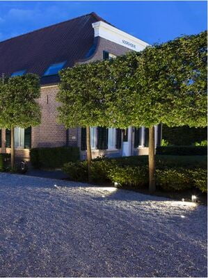 in-lite ACE in-lite ACE