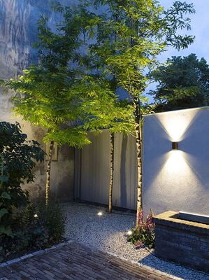 in-lite Ace up-down in-lite Ace up-down