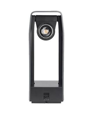 in-lite ACE in-lite ACE