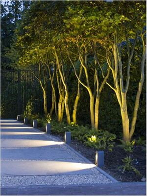 in-lite ACE in-lite ACE