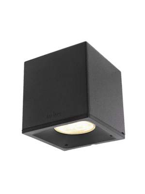 in-lite BIG CUBID in-lite BIG CUBID
