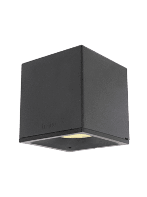 in-lite BIG CUBID in-lite BIG CUBID