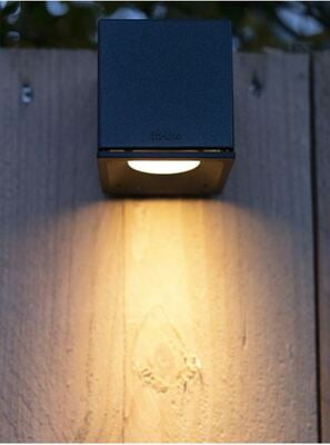 in-lite BIG CUBID in-lite BIG CUBID