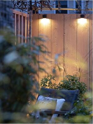 in-lite BIG CUBID in-lite BIG CUBID