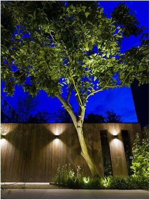 in-lite Big Scope narrow (New) in-lite Big Scope narrow (New)