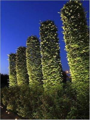 in-lite Big Scope narrow (New) in-lite Big Scope narrow (New)