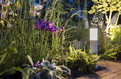 in-lite LIV LOW in-lite LIV LOW