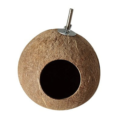Saas Bird Coconut Shell Saas Bird Coconut Shell