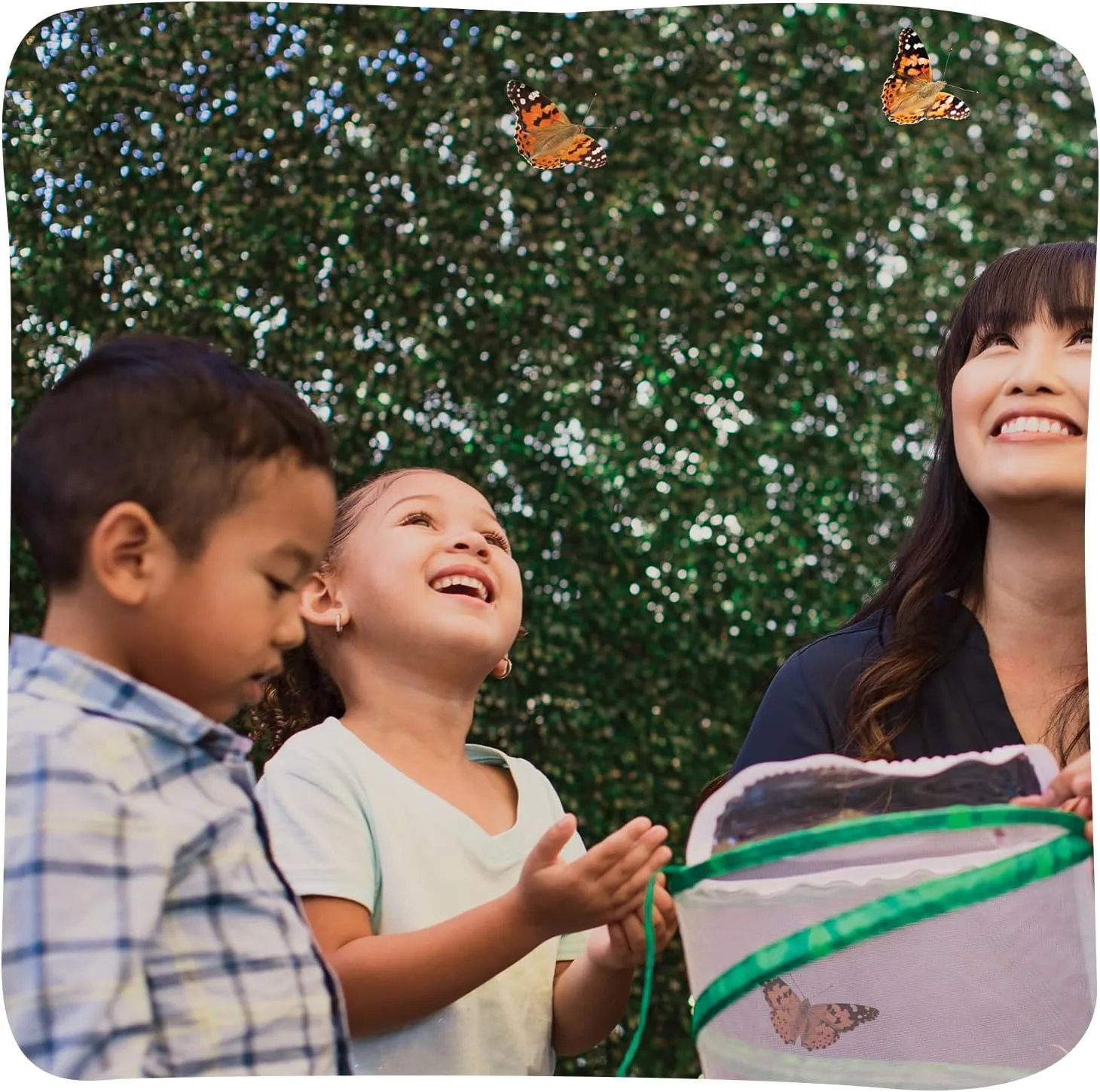 Insect Lore Raise and Release Butterfly Garden Kit – Caterpillar Habitat with redeemable Voucher