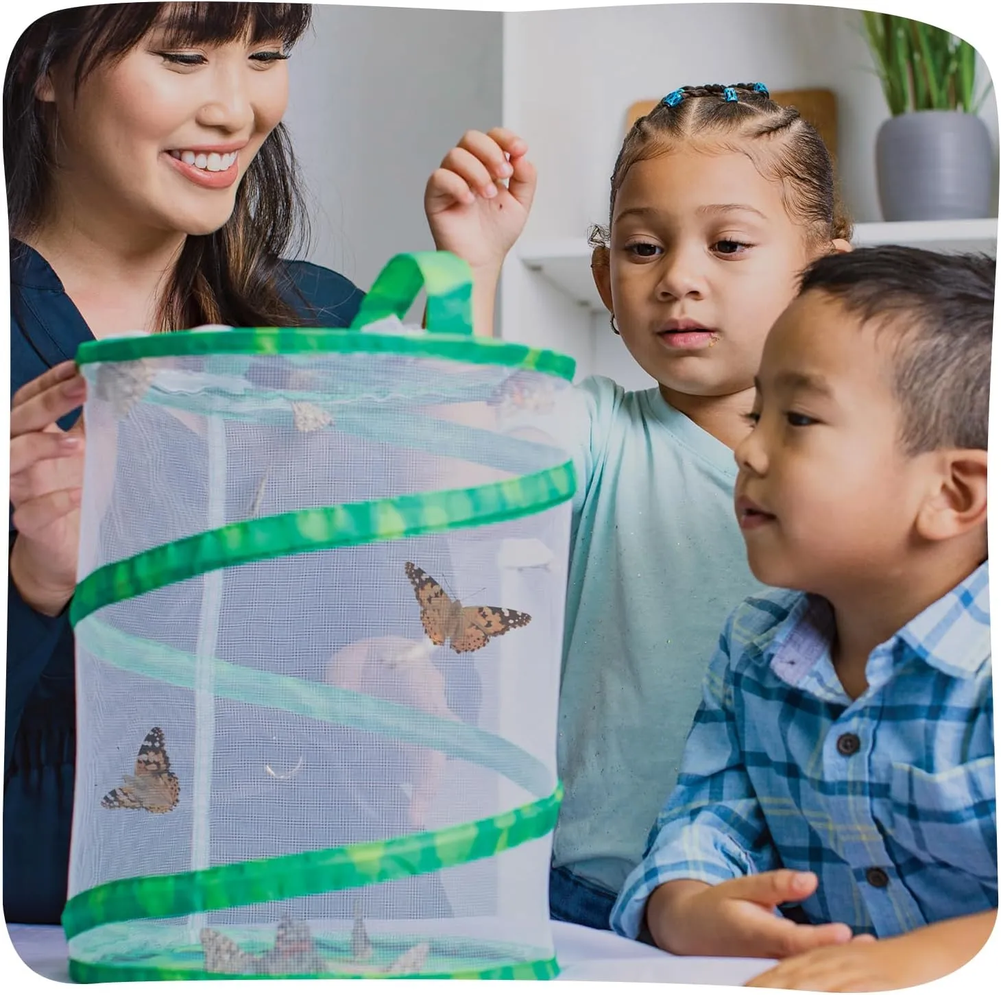 Insect Lore Raise and Release Butterfly Garden Kit – Caterpillar Habitat with redeemable Voucher