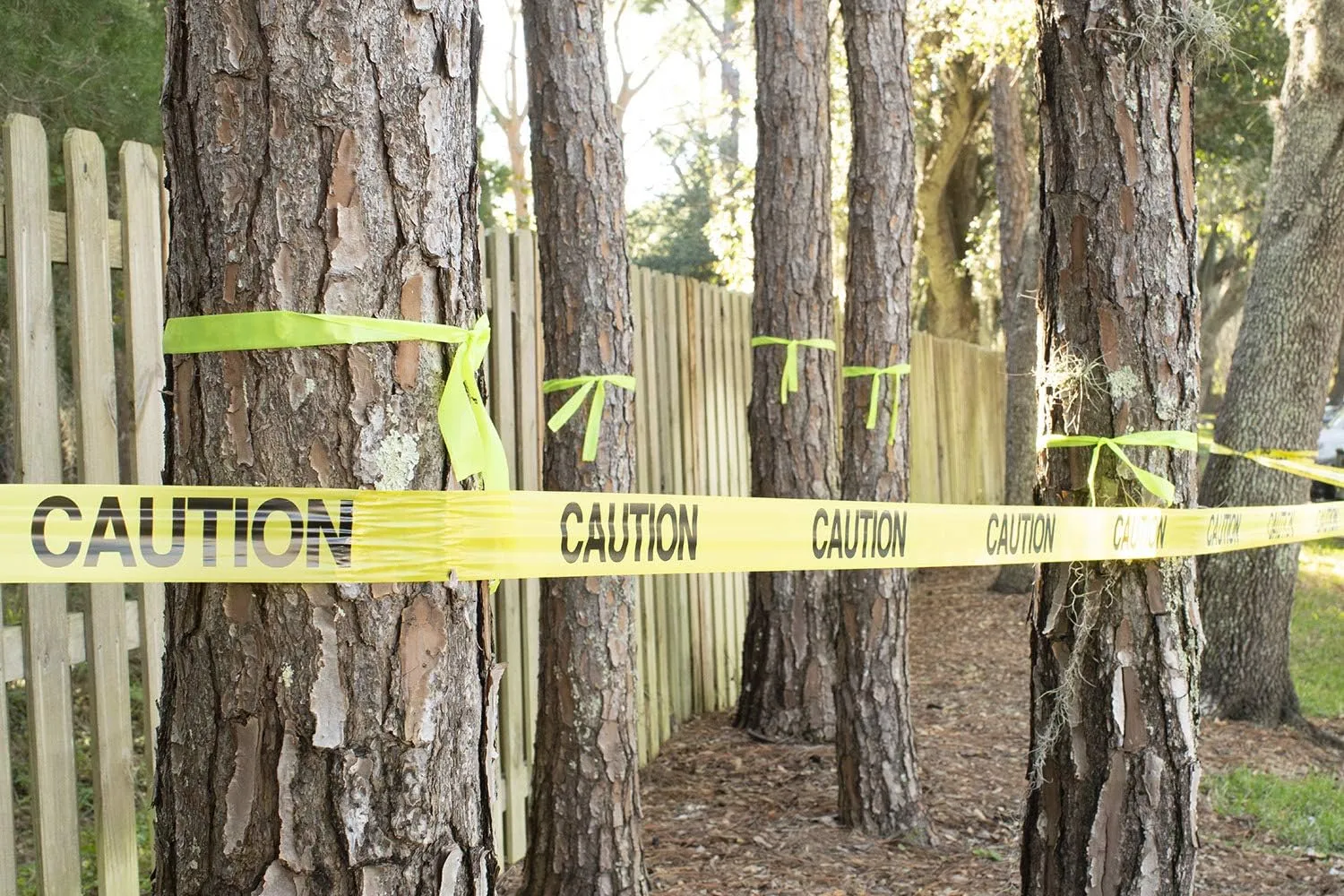 INTERTAPE POLYMER GROUP IPG Barricade Ribbon