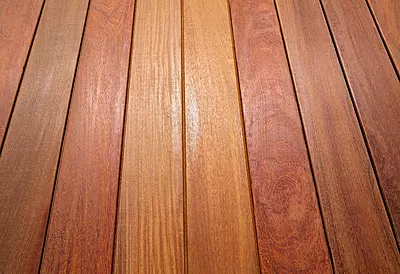 Blitzen Cold Plunge Tub