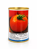 TOMATO ISABEL F1