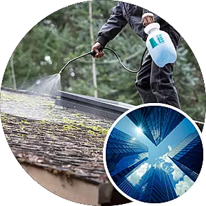 Roof Cleaning - Commercial (10,000 sq ft)