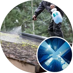 Roof Cleaning - Commercial (10,000 sq ft)