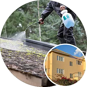 Roof Cleaning - Residential (5,000 sq ft)