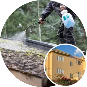 Roof Cleaning - Residential (5,000 sq ft)