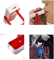 Flash tag with whistle and torch