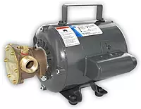 Jabsco 11810-0003 Marine Series General Purpose Utility Pump (Nitrile Impeller, Open Drip Proof Motor Non CE, 115-Volt