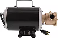 Jabsco 6050-0003 Marine Series Utility General Purpose Pump, 110-Volt, Nitrile Impeller, Open Drip Proof Moto Non-CE