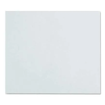 JACKSON SAFETY, 20755, 90110 PC POLYCARBONATECOVER Plate 3015038