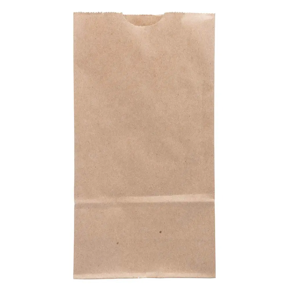 JAM PAPER 100% Recycled Kraft Snack/Lunch Bags - 25/Pack