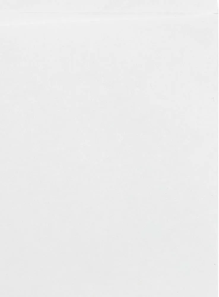 JAM PAPER Open-End Catalog Envelopes - White