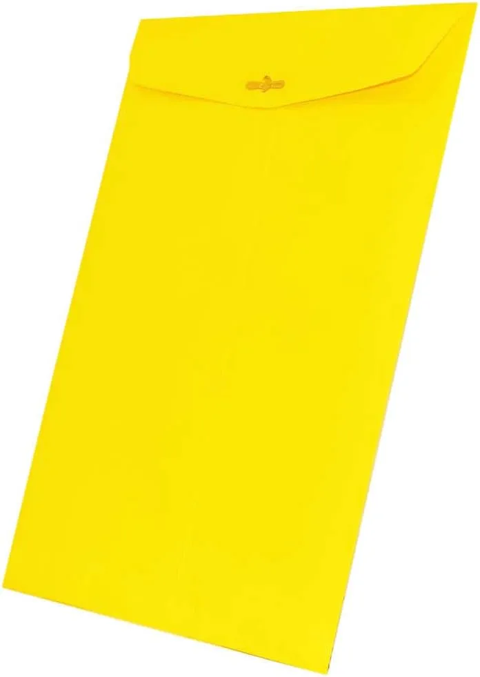 JAM Paper Open-End 9 x 12 Colored Catalog Envelopes with Clasp Closure