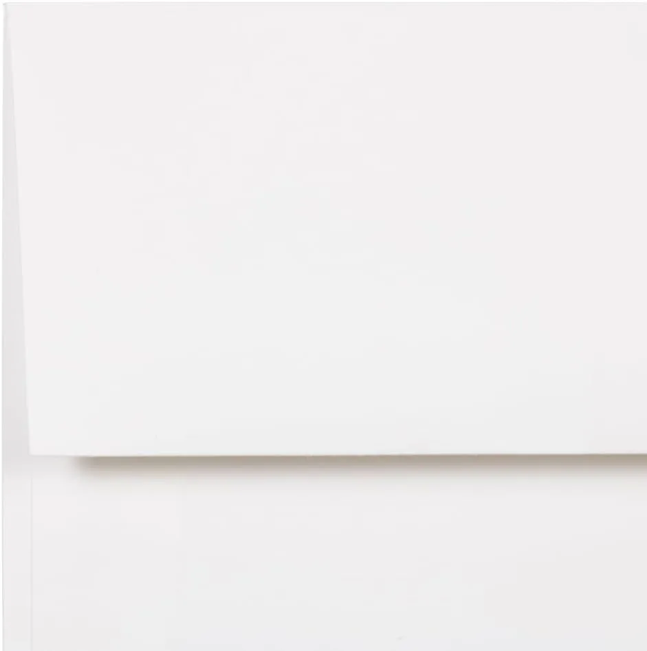 JAM PAPER Booklet Invitation Envelopes