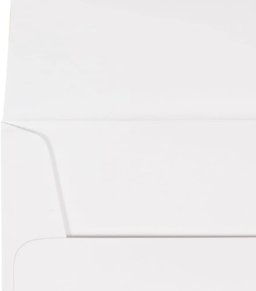 JAM PAPER Booklet Invitation Envelopes