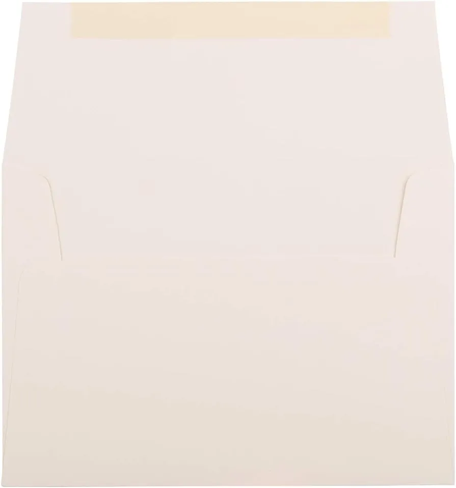 JAM PAPER Booklet Invitation Envelopes