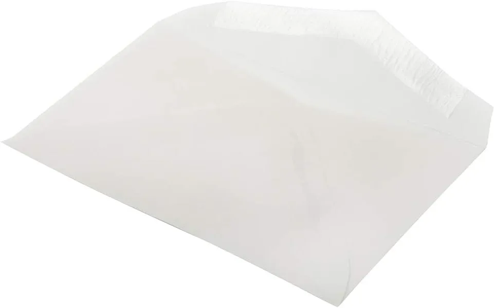 JAM PAPER Translucent Vellum Invitation Envelopes