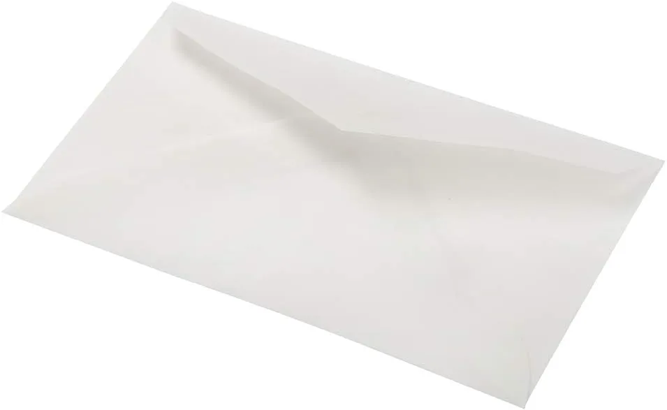 JAM PAPER Translucent Vellum Invitation Envelopes