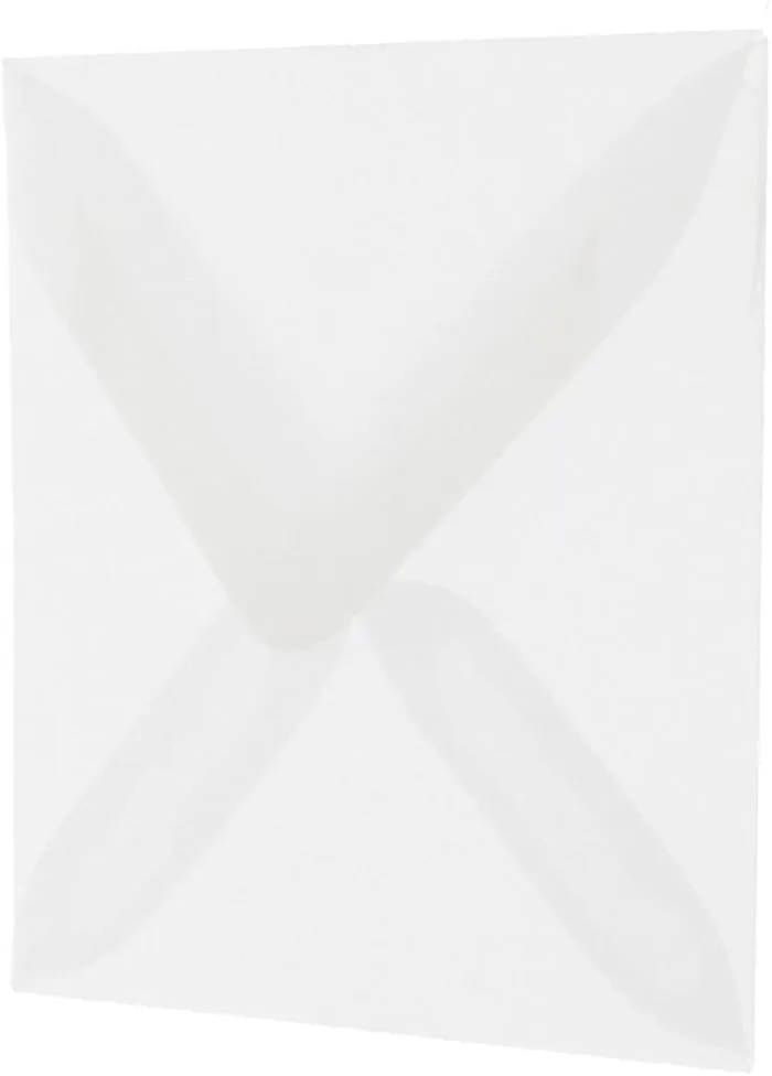 JAM PAPER Translucent Vellum Invitation Envelopes