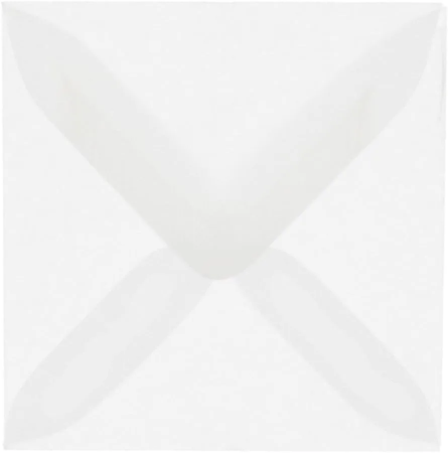JAM PAPER Translucent Vellum Invitation Envelopes