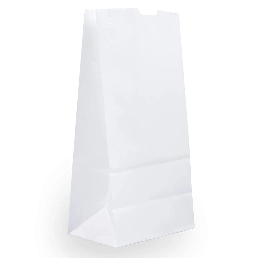 JAM PAPER 100% Recycled Kraft Snack/Lunch Bags - 25/Pack