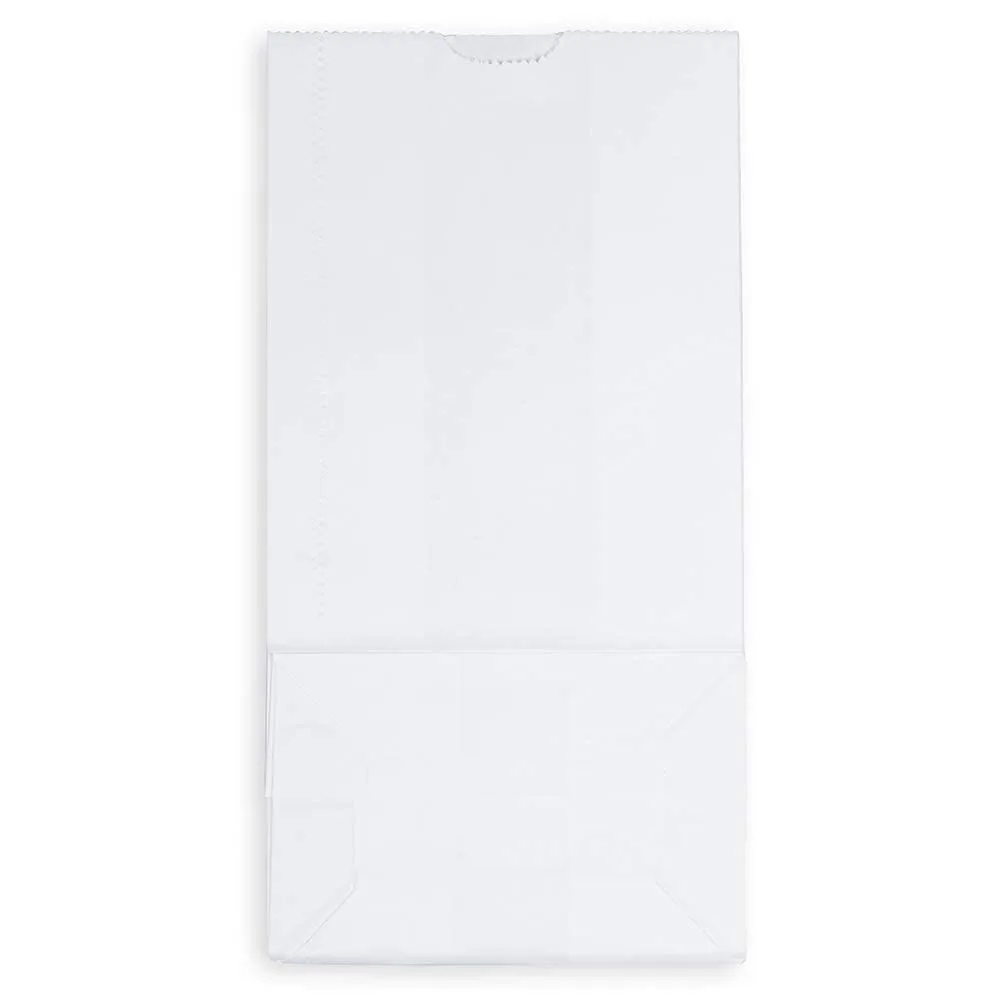 JAM PAPER 100% Recycled Kraft Snack/Lunch Bags - 25/Pack