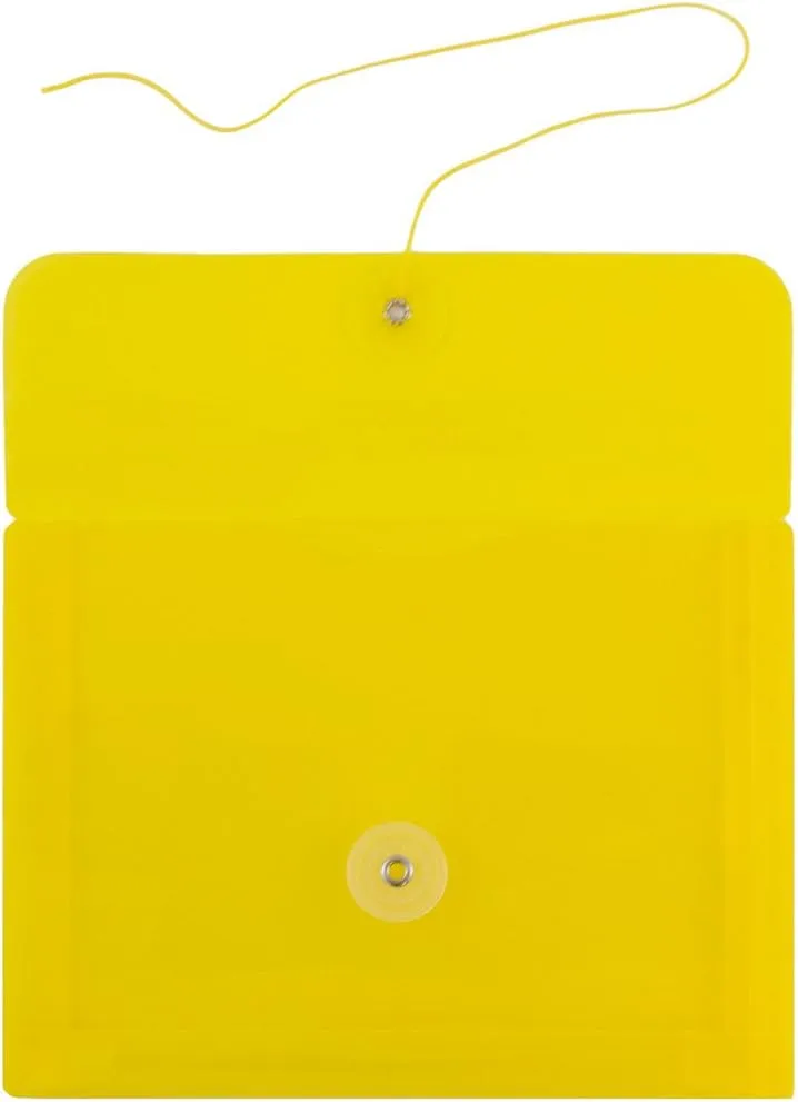 JAM PAPER Plastic Envelopes with Button & String Tie Closure - 12 Pack